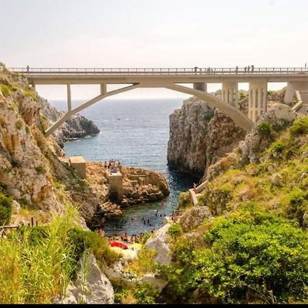 Casa Vacanze "Il Carrubo" Gagliano del Capo Extérieur photo
